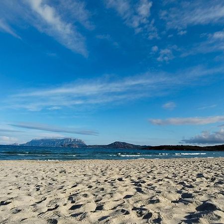 Casa Vacanze Lo Squalo Olbia Luaran gambar